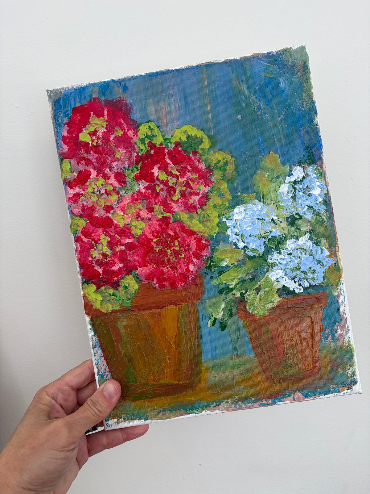 Summer Pots - By Sue McCarney