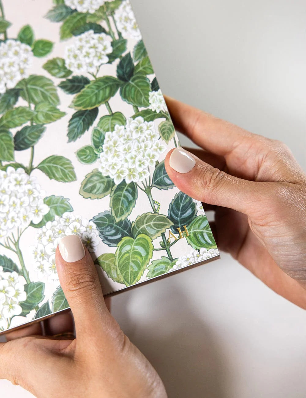 Hydrangea Jumbo Notepad Jotter
