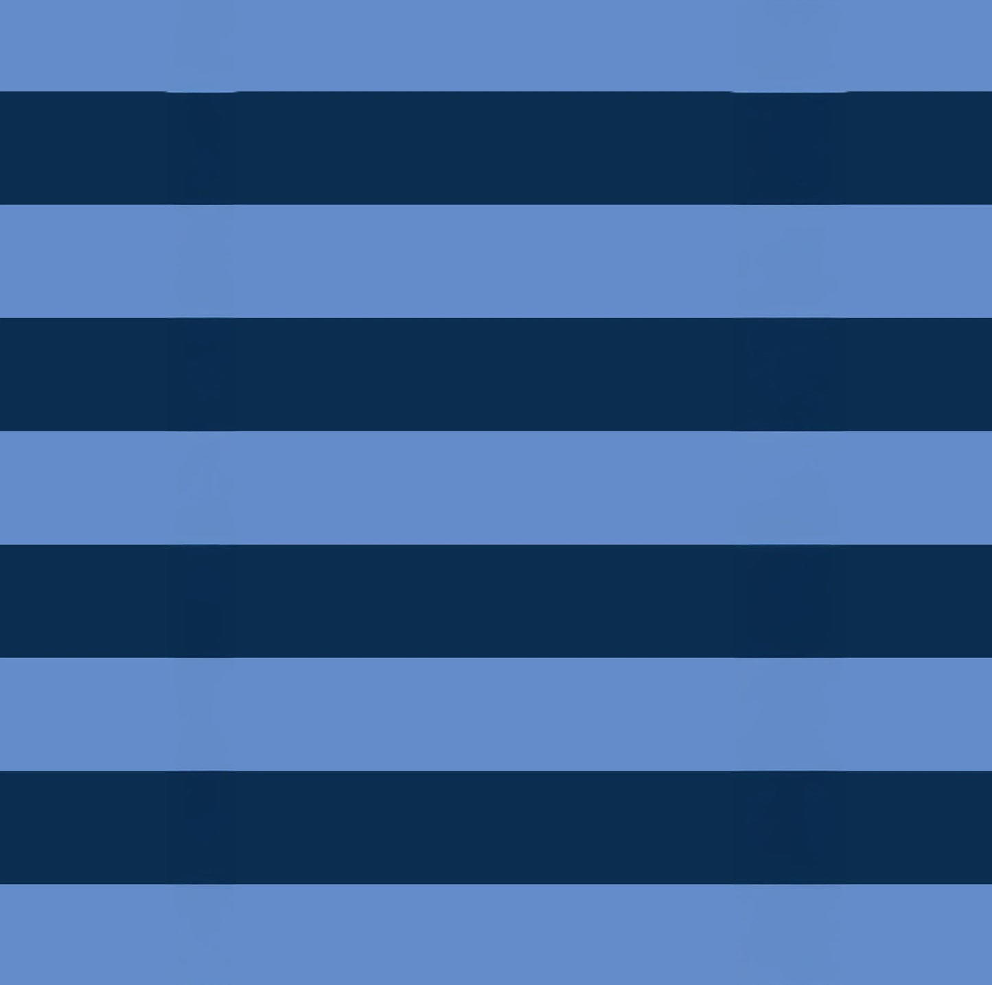 Medium Tote - Blue Stripe