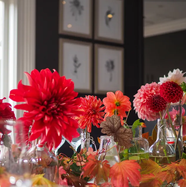 An Autumn Feast: Add to Cart x Birch