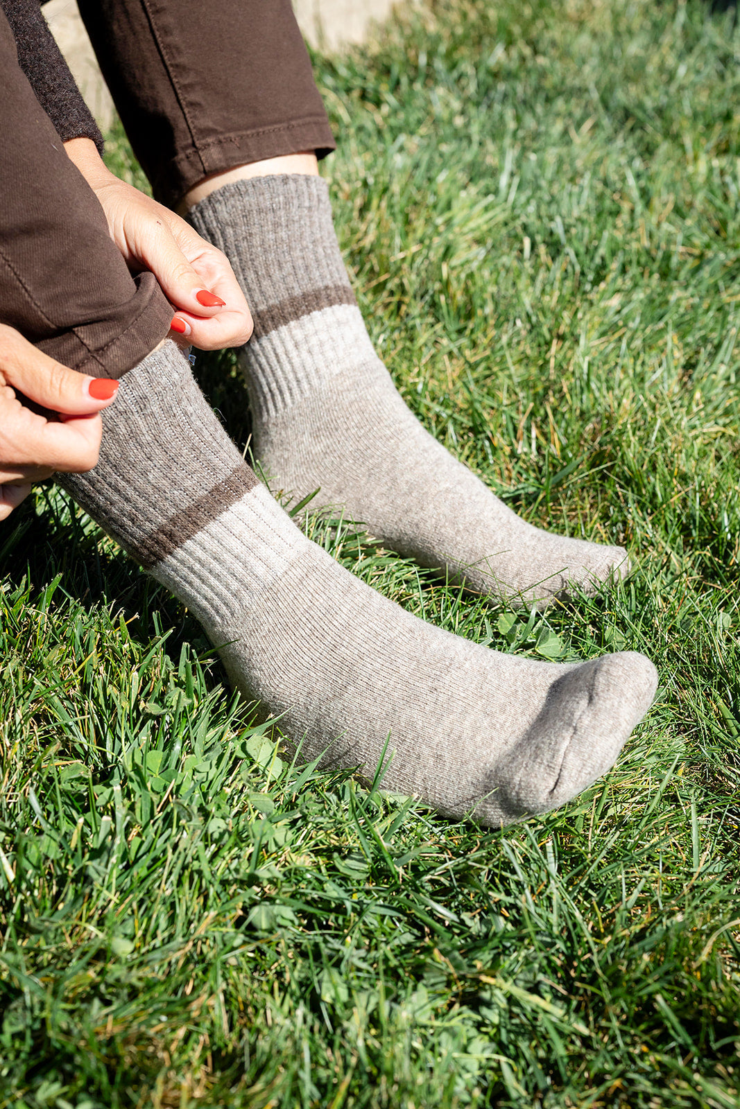 Toasty Toes Woollen single stripe ribbed crew socks - Latte