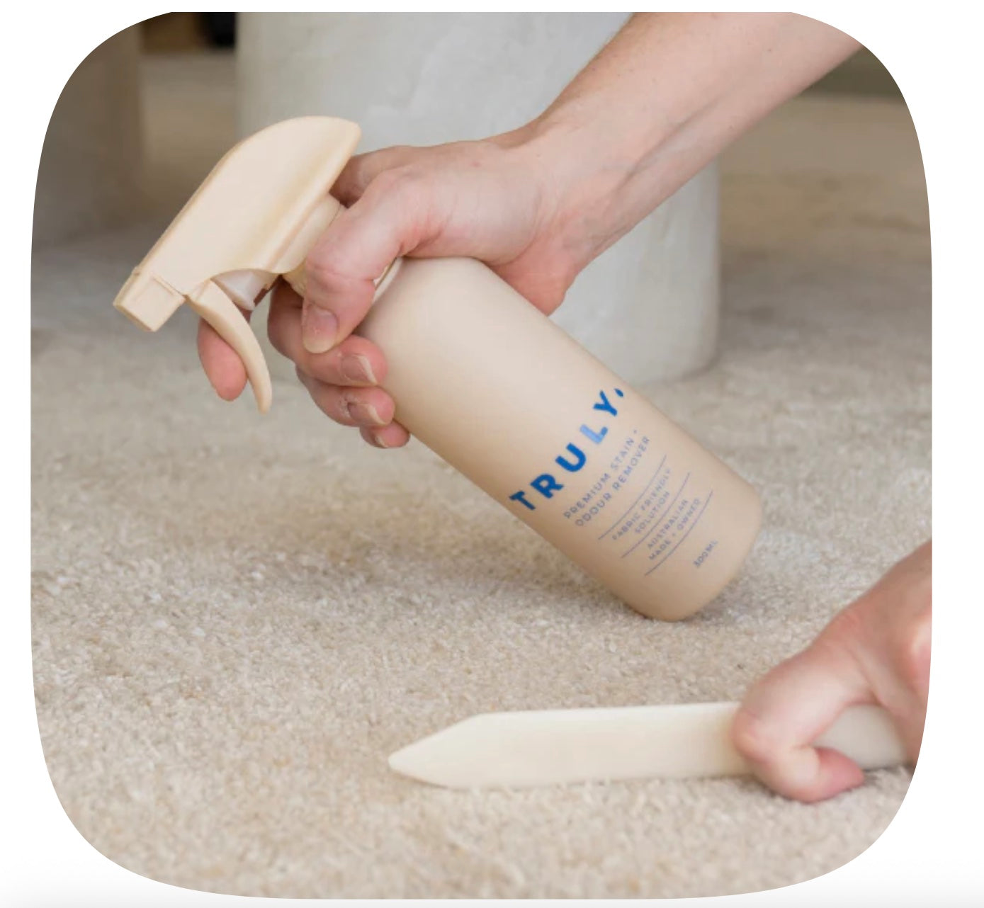 TRULY Premium Stain & Odour Remover