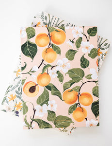 Peaches Workbook