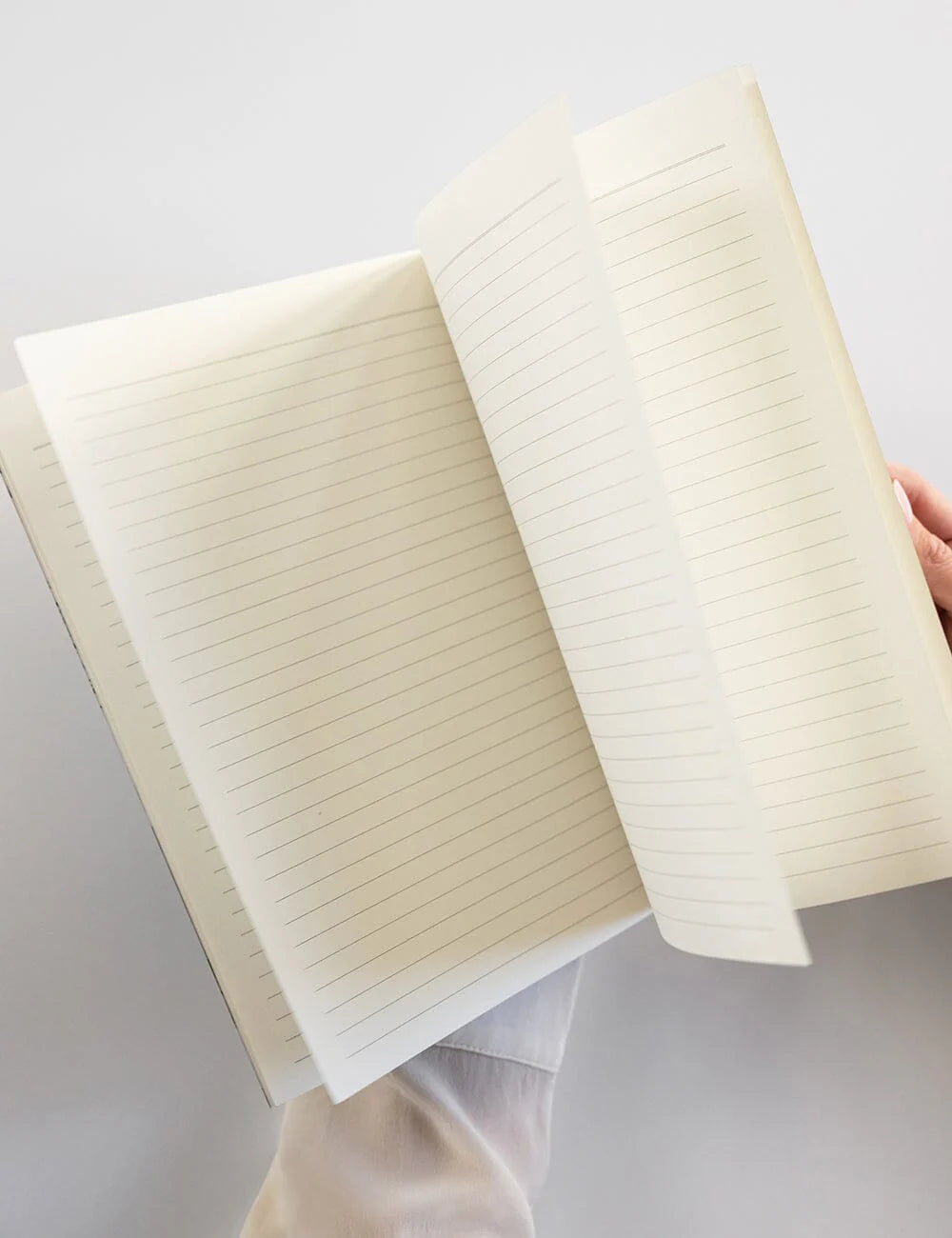 Native Wildflowers Workbook