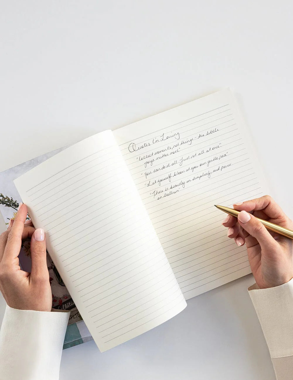 Native Wildflowers Workbook